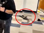 Colt Gray’s AR-style weapon used in Georgia shooting pictured in Apalachee High School hall