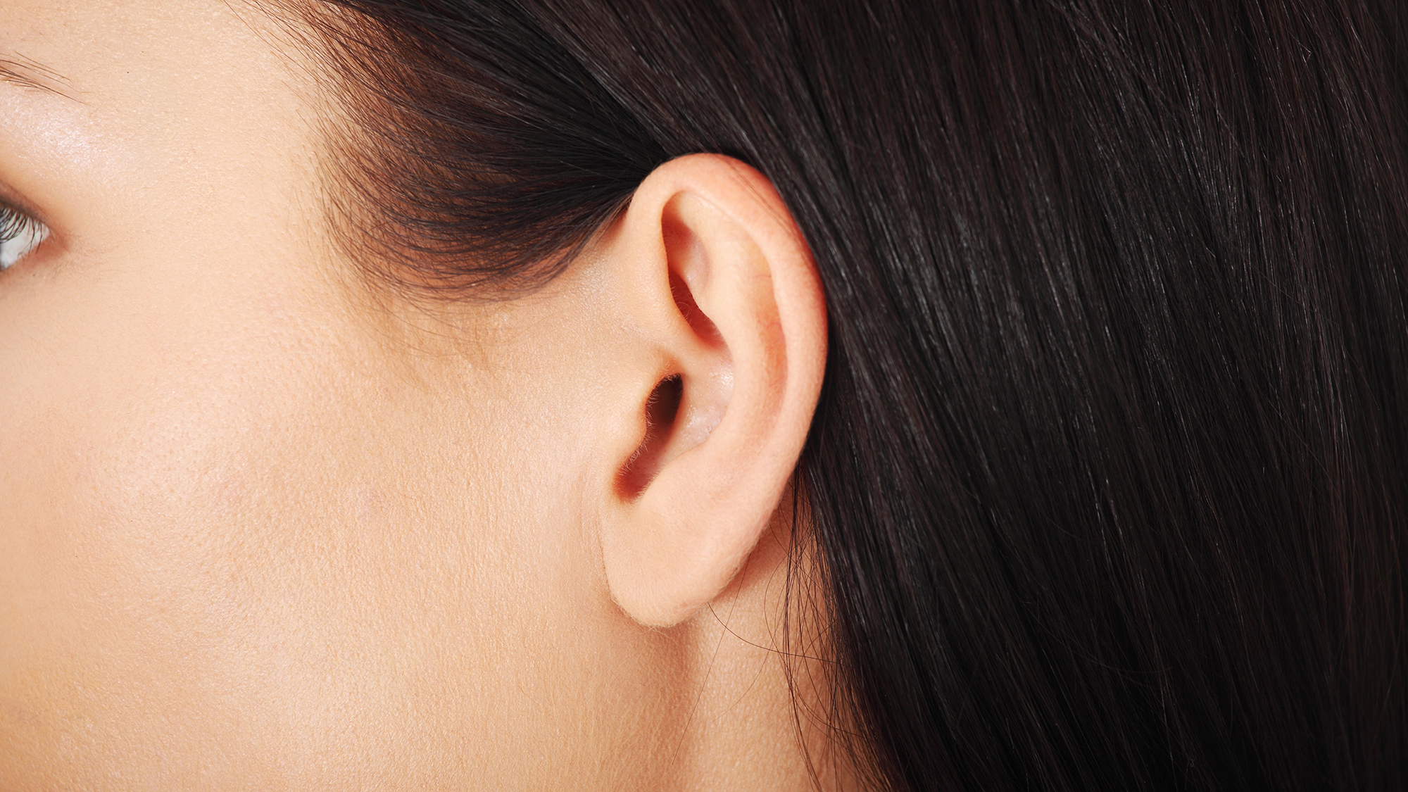 Why do we have earlobes? They make no evolutionary sense.