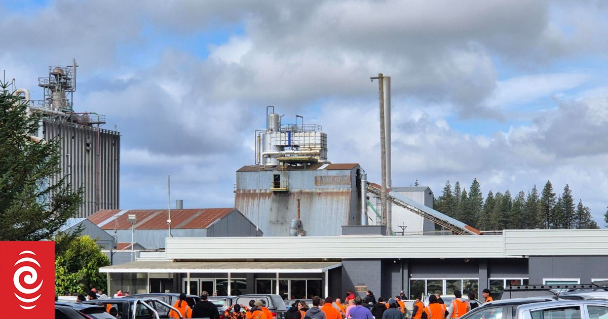 Winstone Pulp International mill closures will be ‘catastrophic’ for Central North Island communities