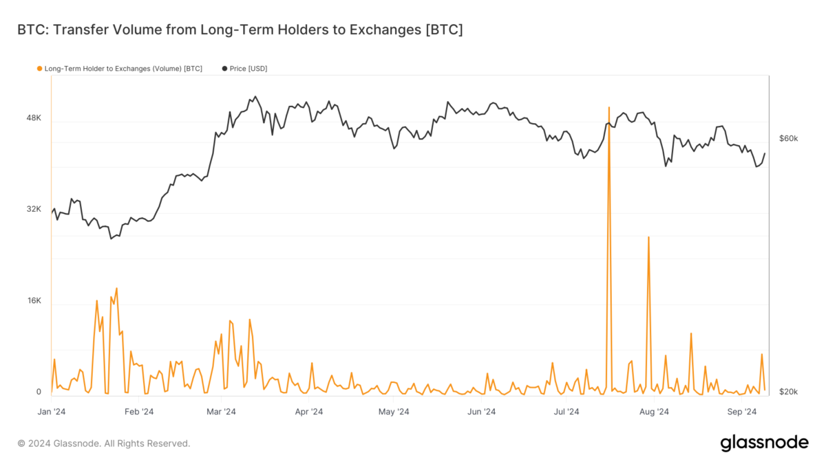 Long-term Bitcoin holders’ transfer volume remains low amid price corrections in 2024