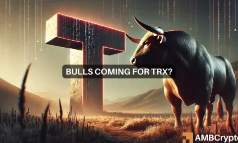 Tron [TRX] stalls at $0.15 – Are bullish signals emerging?