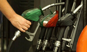 Petroleum prices reduced by Rs47.54 per litre since May: minister