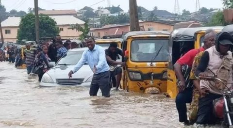 BREAKING: Flood Hits Borno Zoo, Crocodiles, Snakes, Others Break Free