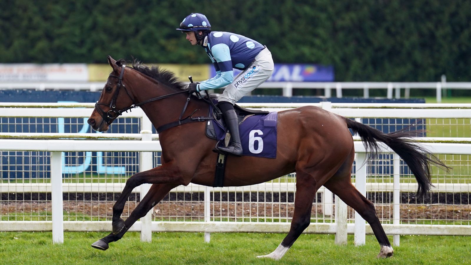 Today on Sky Sports Racing: Dan Skelton team out to strike at Worcester on Wednesday with Next Left | Racing News | Sky Sports