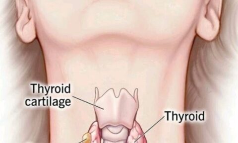 How Long Can You Have Cancer Without Knowing About It?