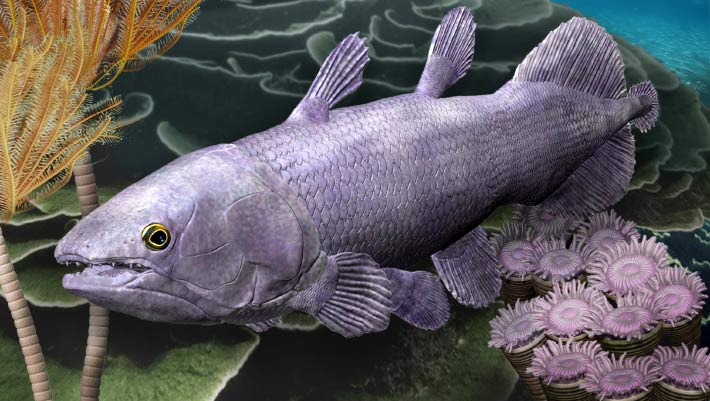 Devonian Coelacanth Fossil Unearthed in Australia