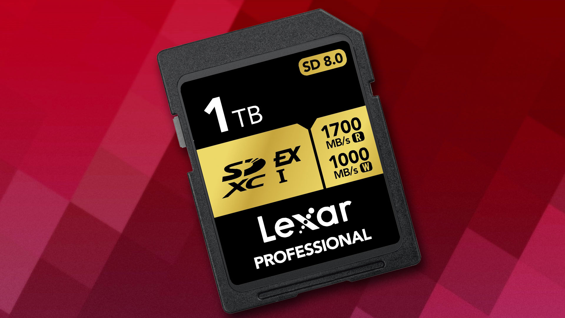 La nouvelle carte SD de Lexar : une vitesse tellement incroyable qu’elle dépasse votre équipement !