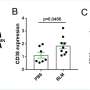 Une nouvelle approche prometteuse : les anticorps ciblant l’enzyme CD38 améliorent le traitement de la sclérodermie systémique