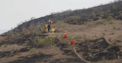 Le Pérou en proie aux flammes : 15 vies perdues depuis juillet dans une lutte acharnée contre les incendies de forêt