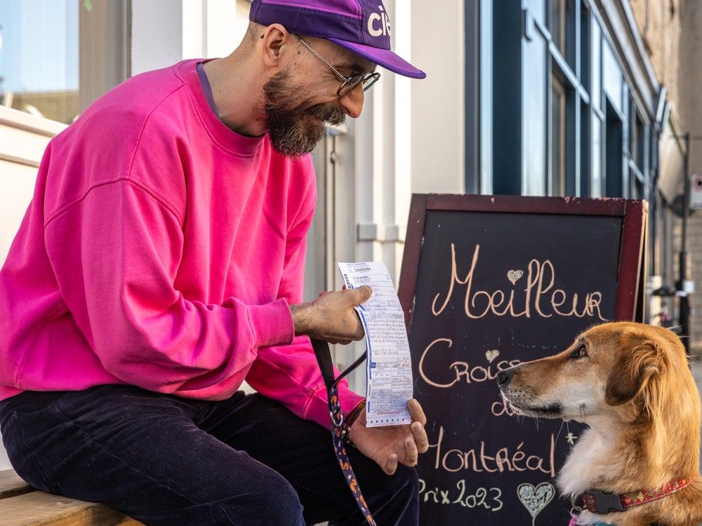 actualités Un homme en pull rose et chapeau violet, à gauche de l'image, montre une contravention à un chien couleur caramel, à droite.
