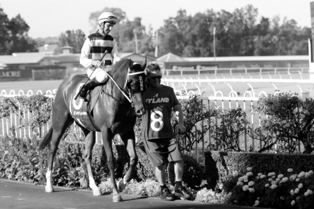 Nash Rawiller et Cepheus après une victoire à Rosehill Gardens en mars dernier.