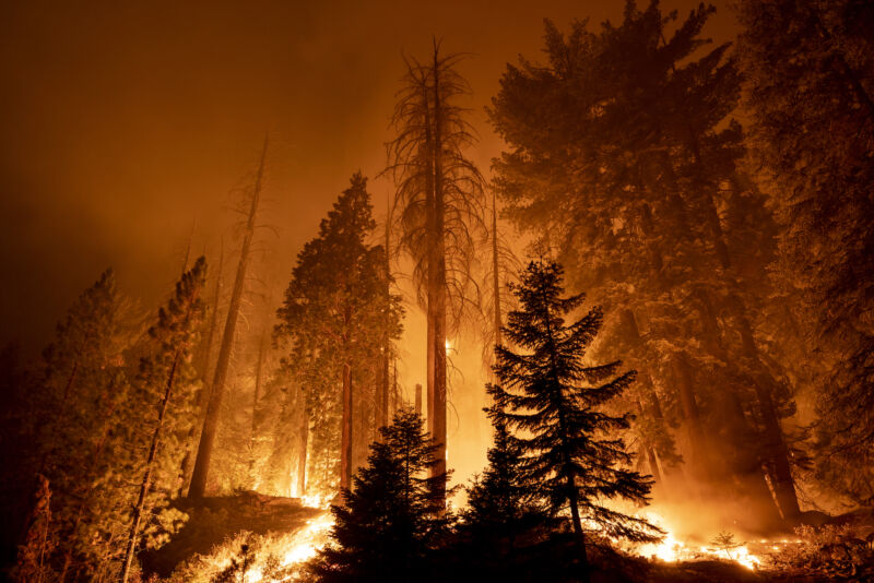 technologie Un incendie ravage le Long Meadow Grove de séquoias géants près du Trail of 100 Giants dans la forêt nationale de Sequoia, le 21 septembre 2021, ⁤près de California Hot ⁣Springs, Californie.