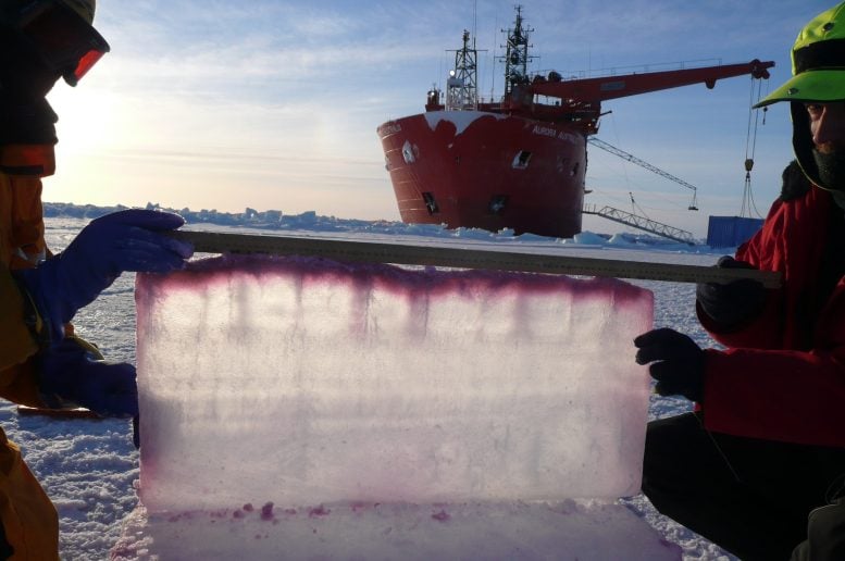 Glace de mer inversée