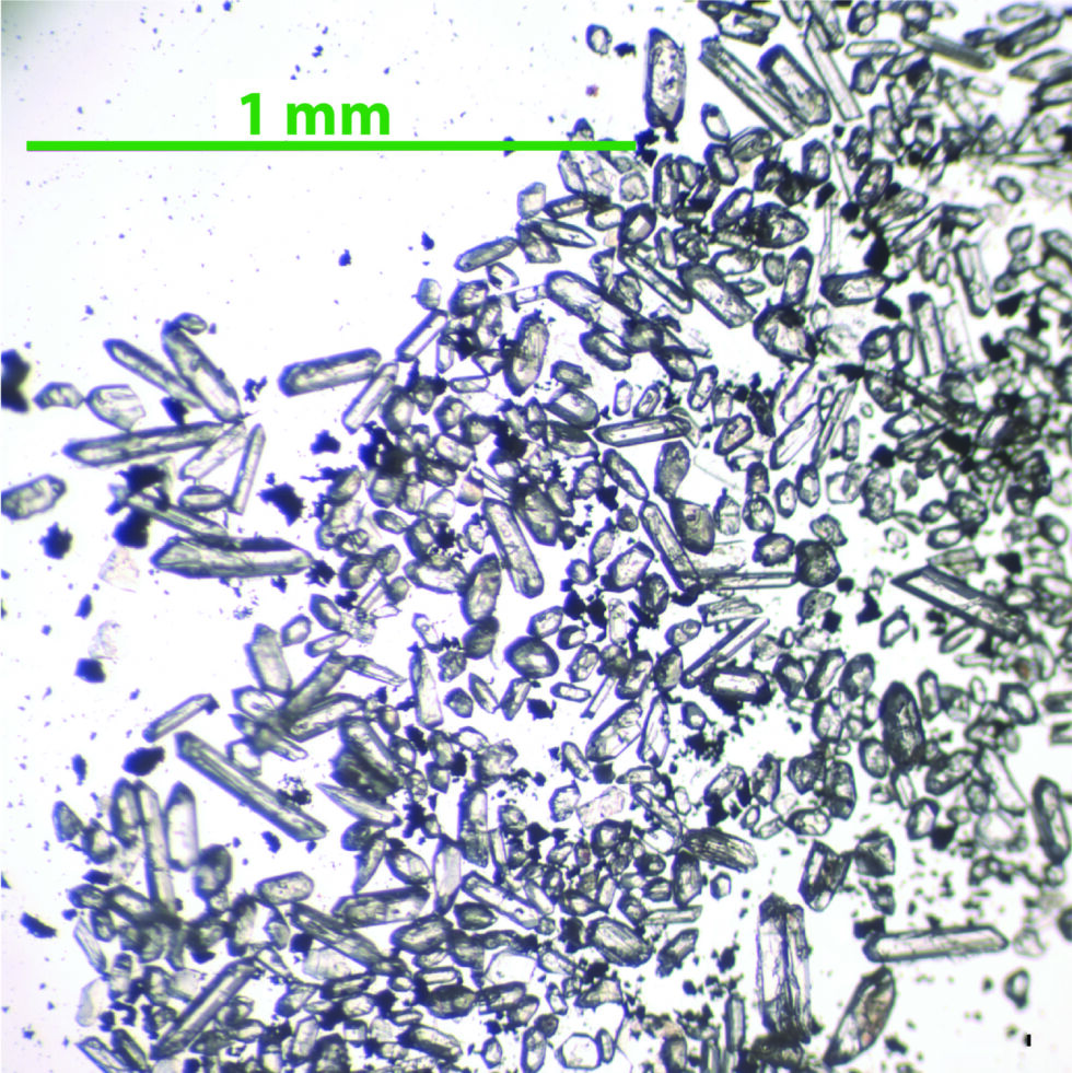 Petites horloges : Cristaux zircon provenant cendres volcaniques tombés mer Caraïbe durant Miocène.