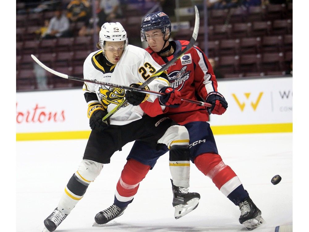 actualités Sarnia Sting