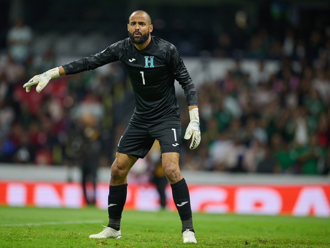 Edrick Menjivar gardien hondurien actif depuis novembre 21 2023 Edrick Menjivar gardien hondurien actif depuis novembre 21 2023