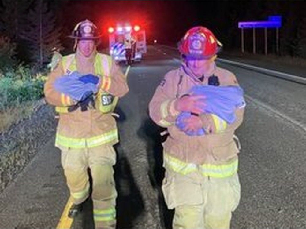 Les pompiers d'Ottawa ont secouru deux personnes et deux chats après un accident sur l'autoroute 417.