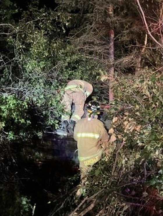 Les pompiers d'Ottawa ont secouru deux personnes et deux chats après un accident sur l'autoroute 417.