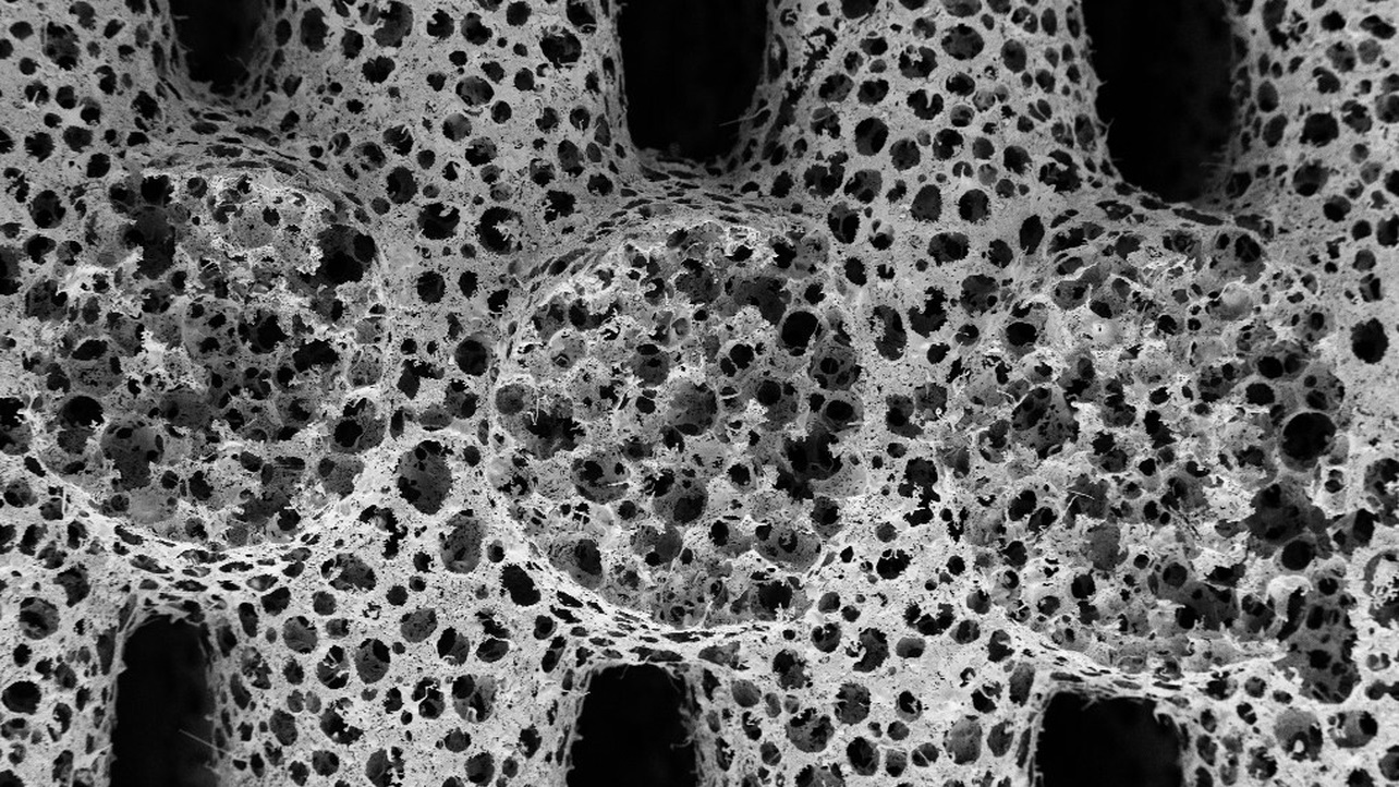 technologie Une vue microscopique de la mousse métallique d'Apheros, montrant l'augmentation de la surface et la structure aérée.