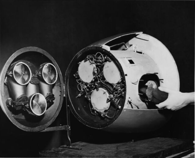 Cone de nez de la bombe glissante NIST montrant le système de guidage à trois pigeons.