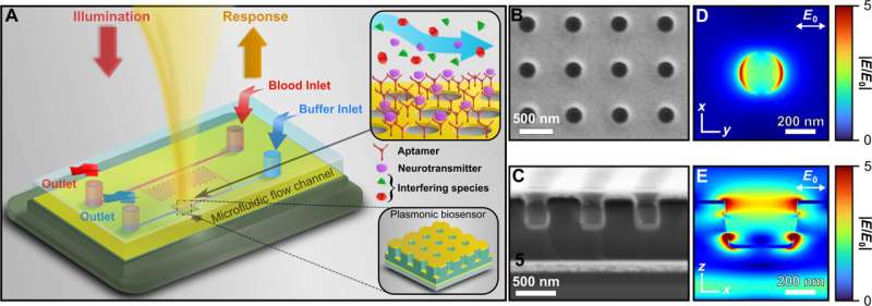 Développement d'un capteur plasmonique pour la détection de la dopamine