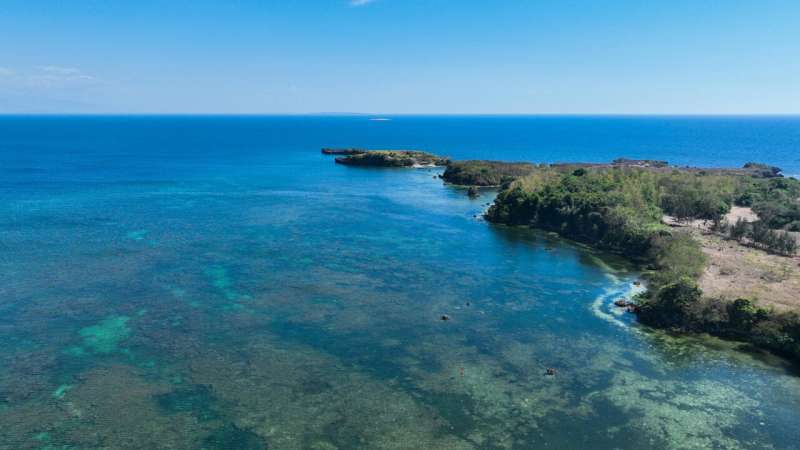 science îles tropicales