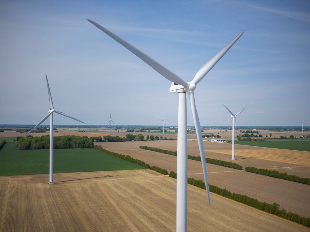 actualité Des terres agricoles parsemées d'éoliennes.