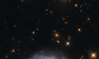 Le télescope spatial Hubble explore les merveilles des galaxies dans l’Hydre