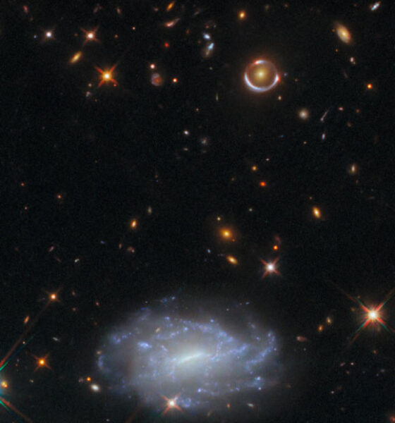 Le télescope spatial Hubble explore les merveilles des galaxies dans l’Hydre