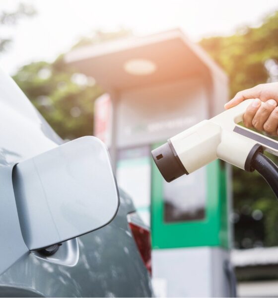 Une formidable nouvelle pour les conducteurs de voitures électriques !